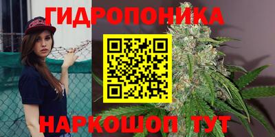 экстази Будённовск