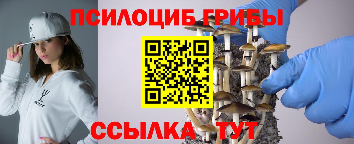 Галлюциногенные грибы ЛСД  Псилоцибиновые грибы Cubensis  купить наркотик  Вход с VPN  Сосновый Бор 